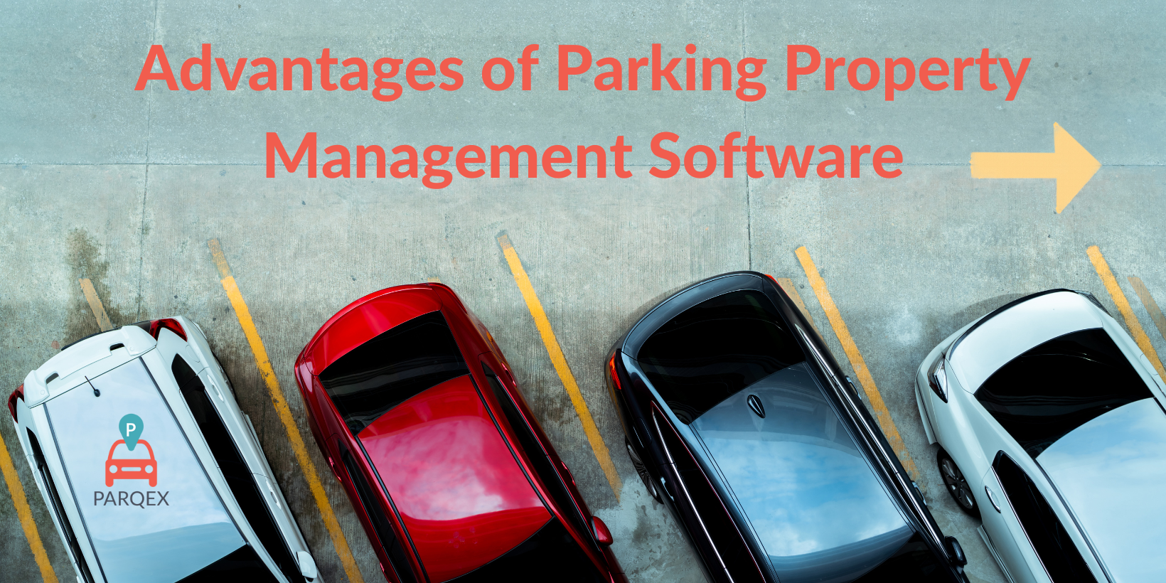 Are you looking for software that will benefit your management team and tenants? Read on!