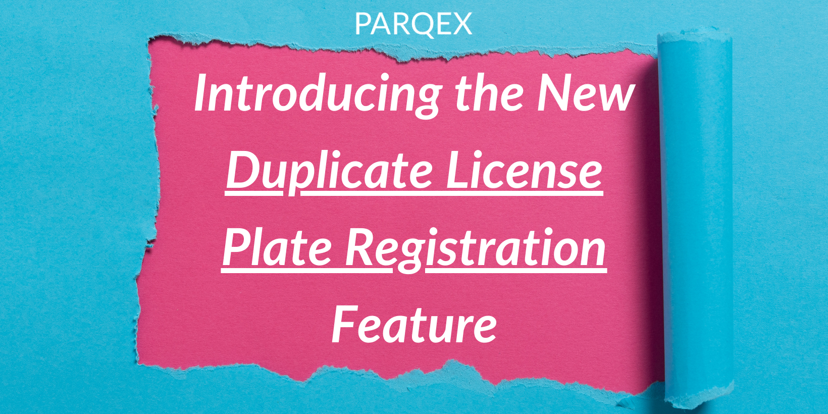 Introducing the New Duplicate License Plate Registration Feature (1) Introducing the New Duplicate License Plate Registration Feature (1)