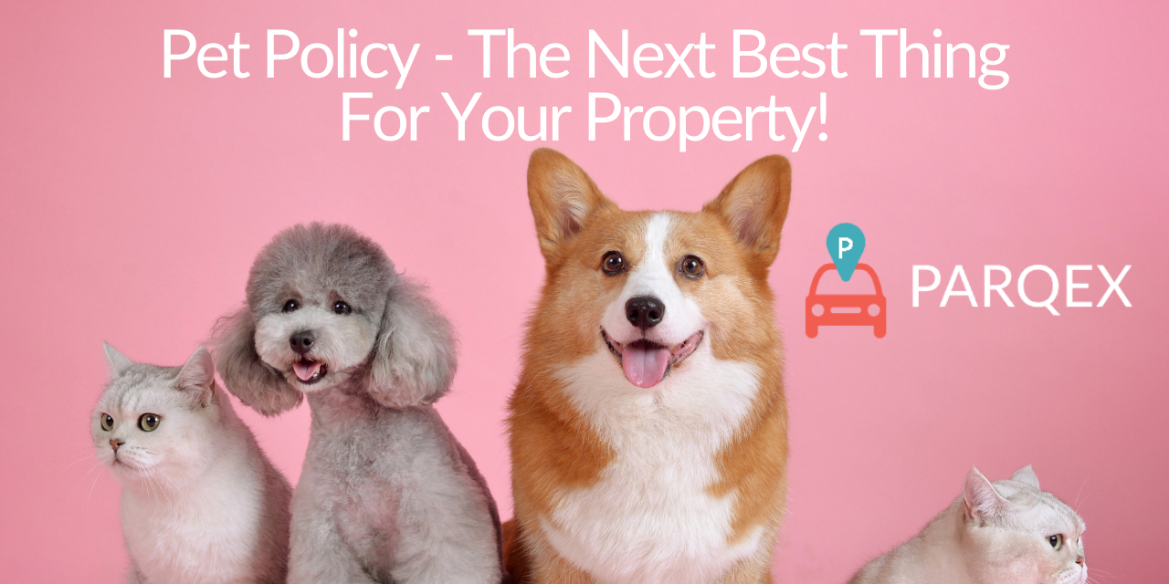 Pet-Policy-The-Next-Best-Thing-For-Your-Property-ParqEx-Blog