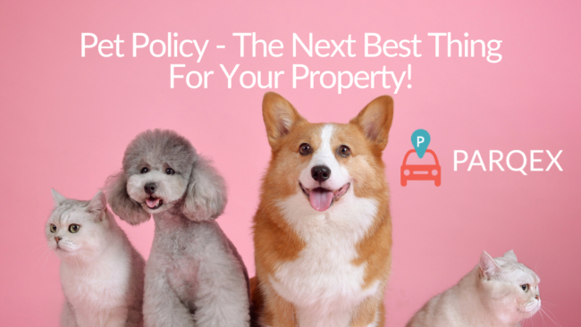 Pet-Policy-The-Next-Best-Thing-For-Your-Property-ParqEx-Blog