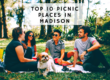 top 10 picnic spots in madison, wisconsin