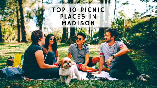 top 10 picnic spots in madison, wisconsin